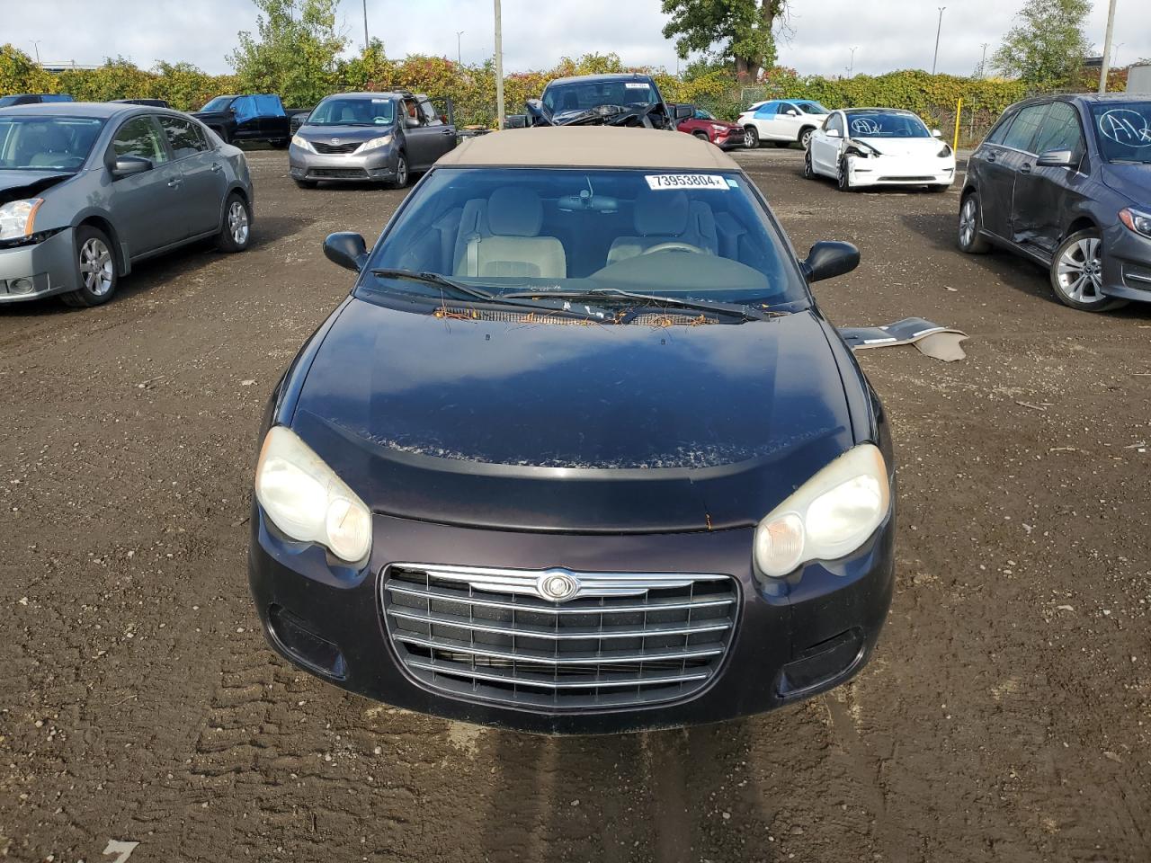 2004 Chrysler Sebring Lx VIN: 1C3EL45RX4N167121 Lot: 73953804