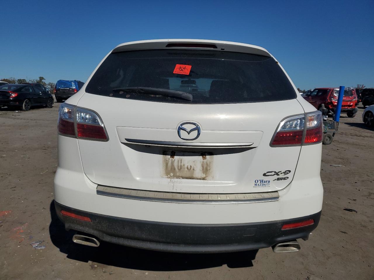 2010 Mazda Cx-9 VIN: JM3TB3MV9A0202374 Lot: 77755554