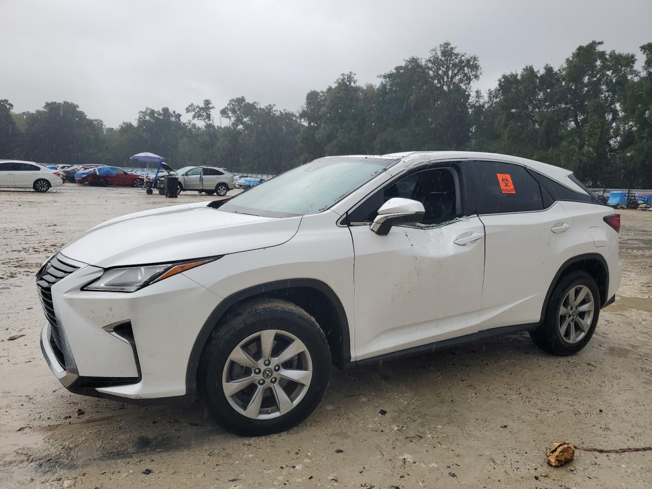 2019 Lexus RX - Image 1
