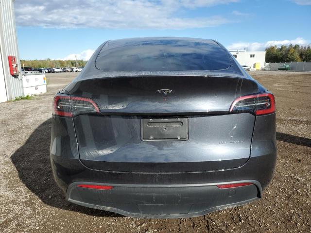  TESLA MODEL Y 2024 Серый