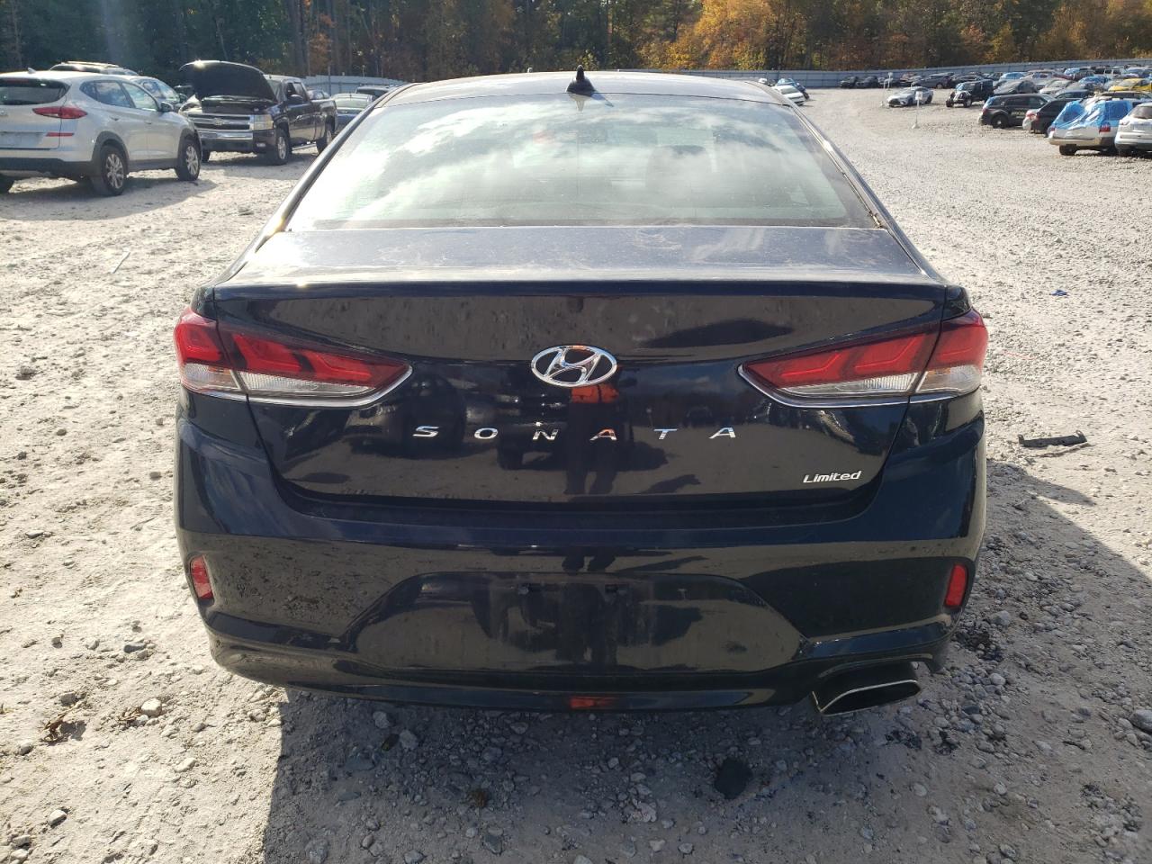 5NPE34AF8KH732910 2019 Hyundai Sonata Limited