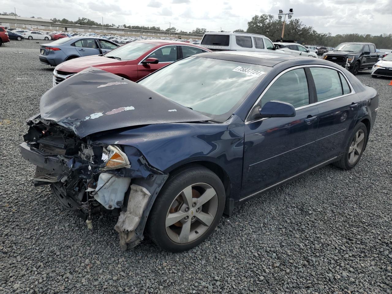 2011 Chevrolet Malibu 1Lt na sprzedaż w Riverview, FL - Front End
