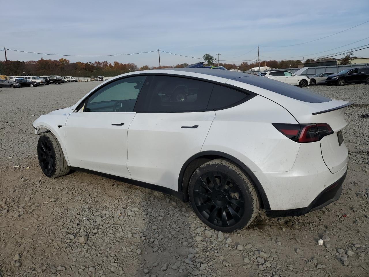 VIN 7SAYGDEE8NA010522 2022 TESLA MODEL Y no.2