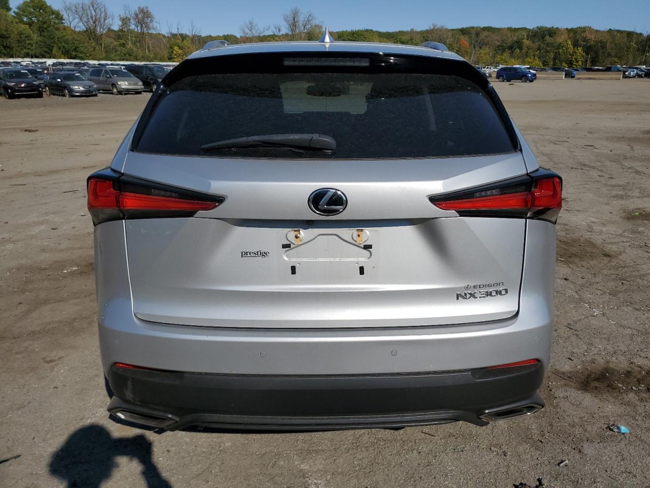 2019 Lexus Nx 300 Base VIN: JTJBARBZ0K2189985 Lot: 75627284