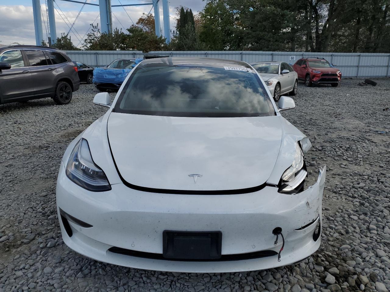 2019 Tesla Model 3 VIN: 5YJ3E1EA2KF483887 Lot: 75977584