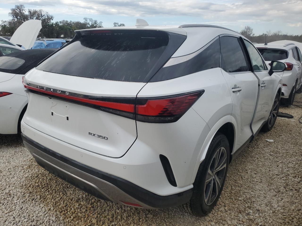 2024 Lexus RX - Image 3