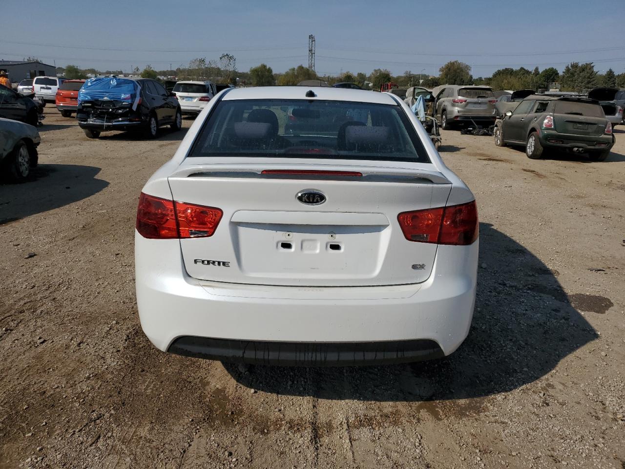 2012 Kia Forte Ex VIN: KNAFU4A24C5556063 Lot: 75242594