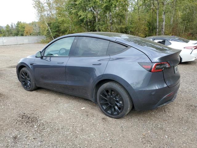  TESLA MODEL Y 2023 Угольный