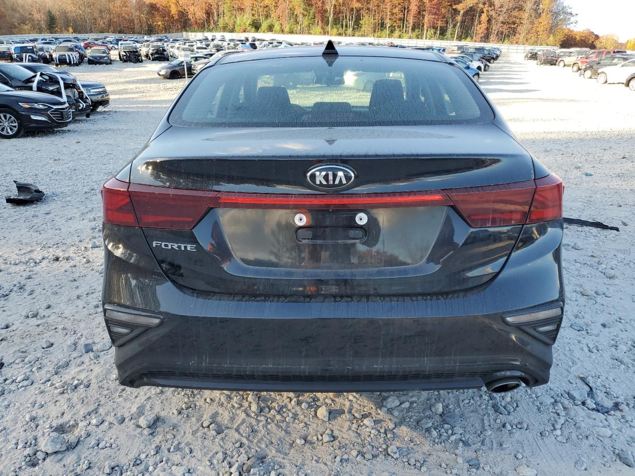 2020 Kia Forte Fe VIN: 3KPF24ADXLE144261 Lot: 76866074