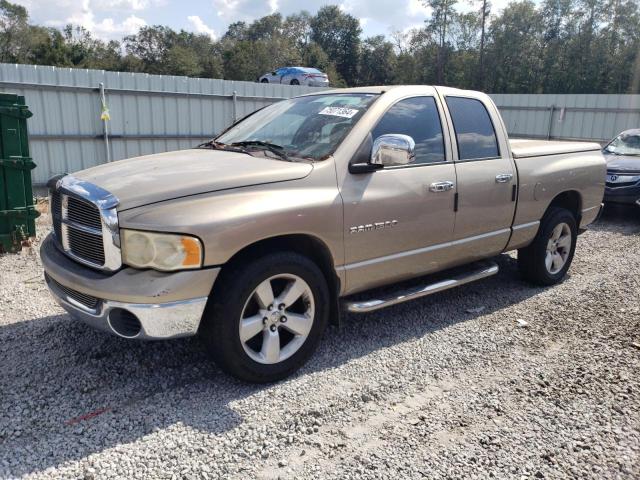 2004 Dodge Ram 1500 St на продаже в Augusta, GA - Top/Roof