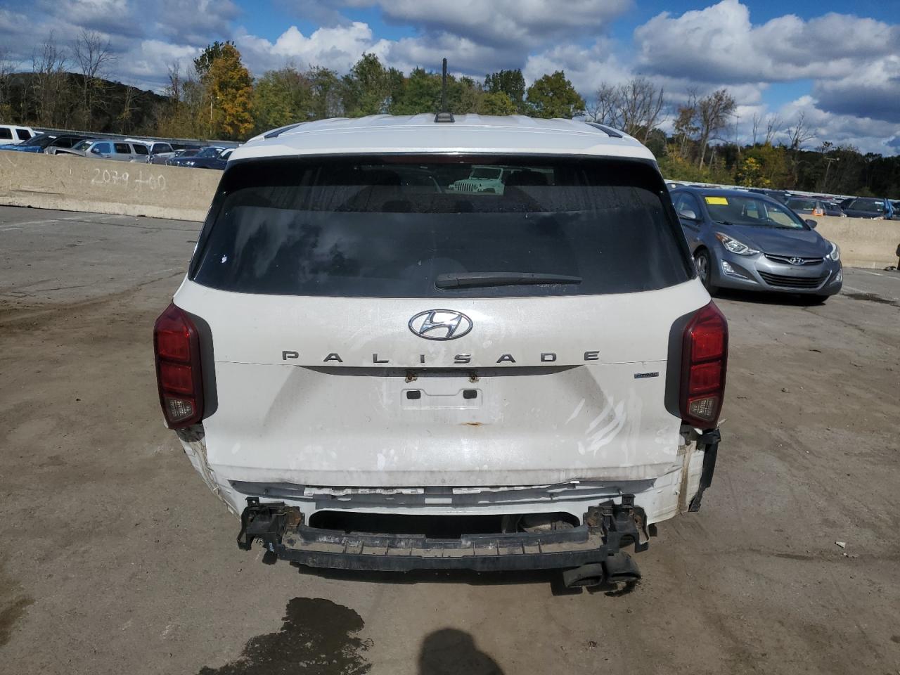 2020 Hyundai Palisade Se VIN: KM8R1DHE8LU036720 Lot: 74960224