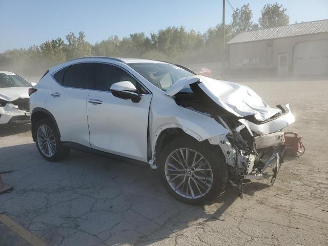  LEXUS NX 350 2022 Белы