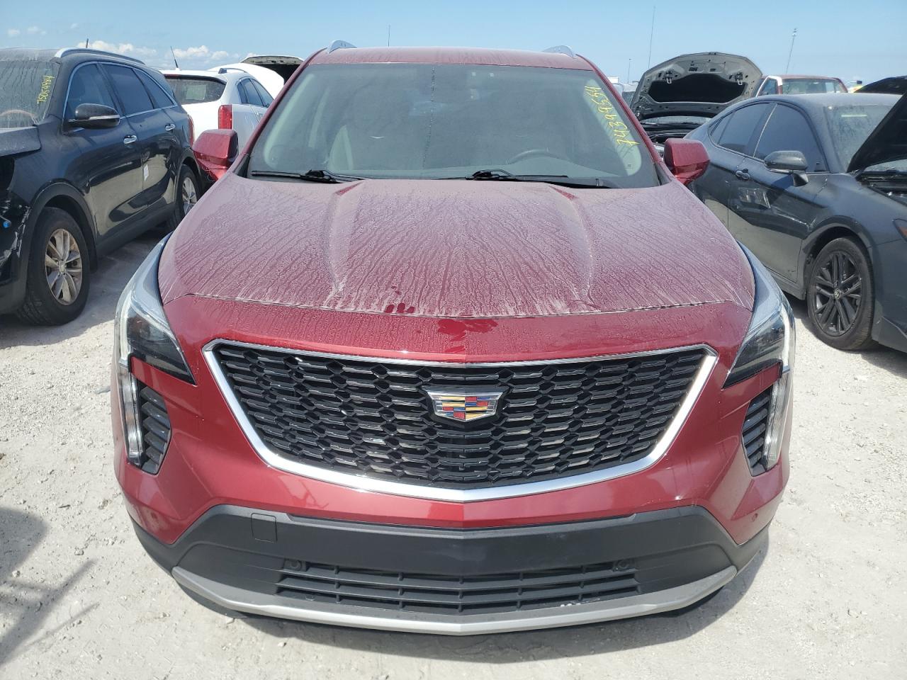 2019 Cadillac Xt4 Premium Luxury VIN: 1GYFZCR44KF207279 Lot: 74399554