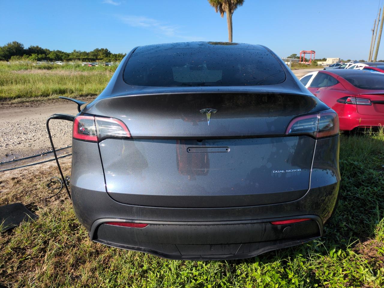 2023 Tesla Model Y VIN: 7SAYGDEE4PA192254 Lot: 74565464