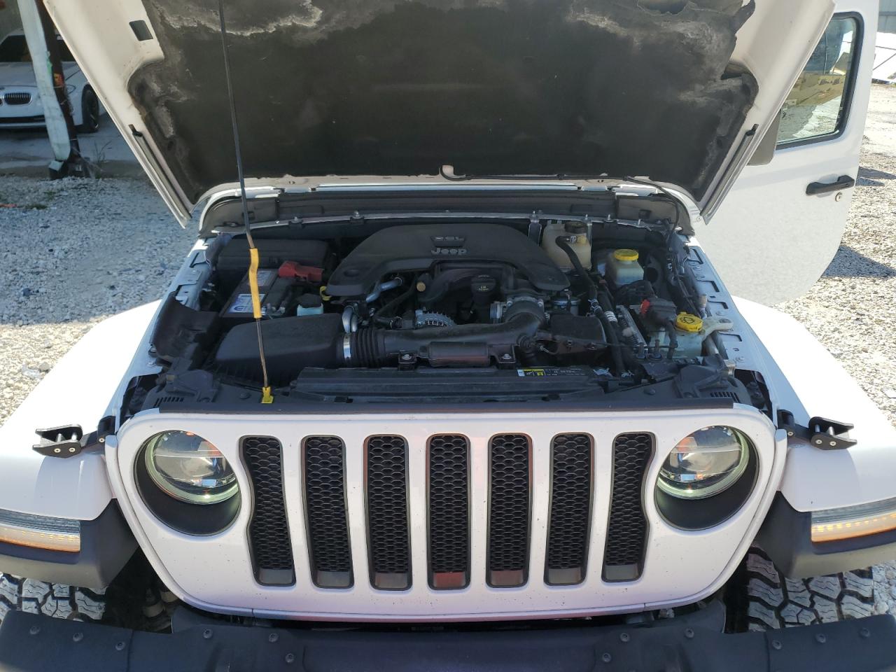 2019 Jeep Wrangler Unlimited Sahara VIN: 1C4HJXEG5KW513419 Lot: 77563964