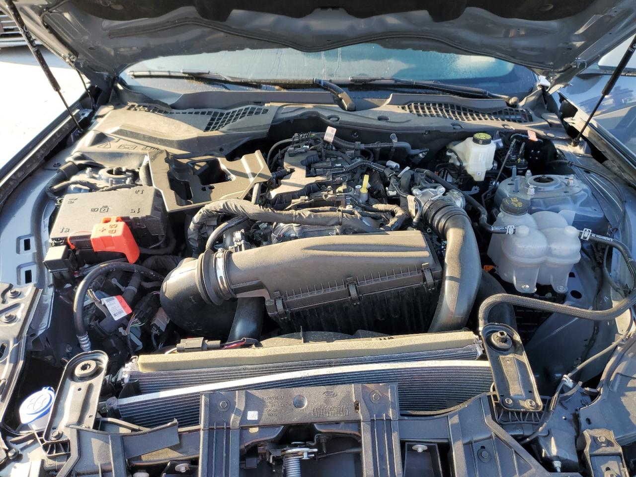 2024 Ford Mustang VIN: 1FA6P8TH5R5110148 Lot: 77679754