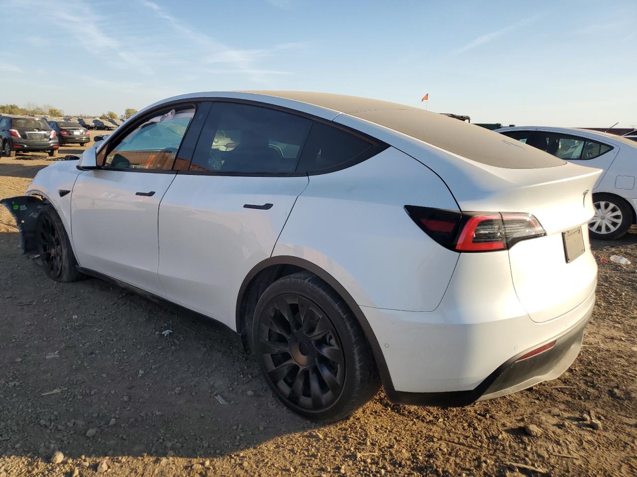 VIN 5YJYGDEE2MF124014 2021 TESLA MODEL Y no.2