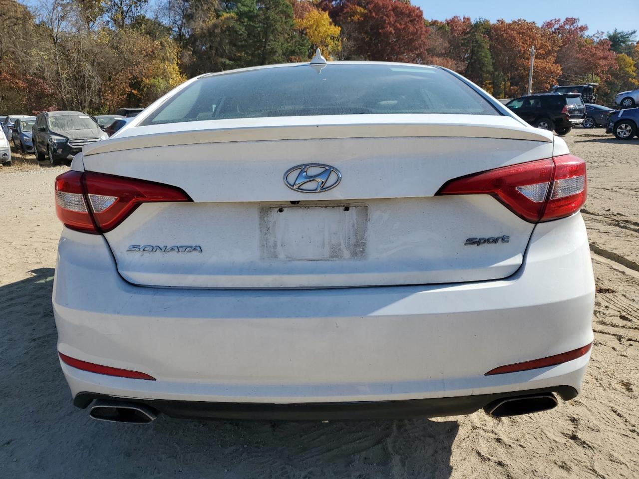 2016 Hyundai Sonata Sport VIN: 5NPE34AF9GH422613 Lot: 77518104