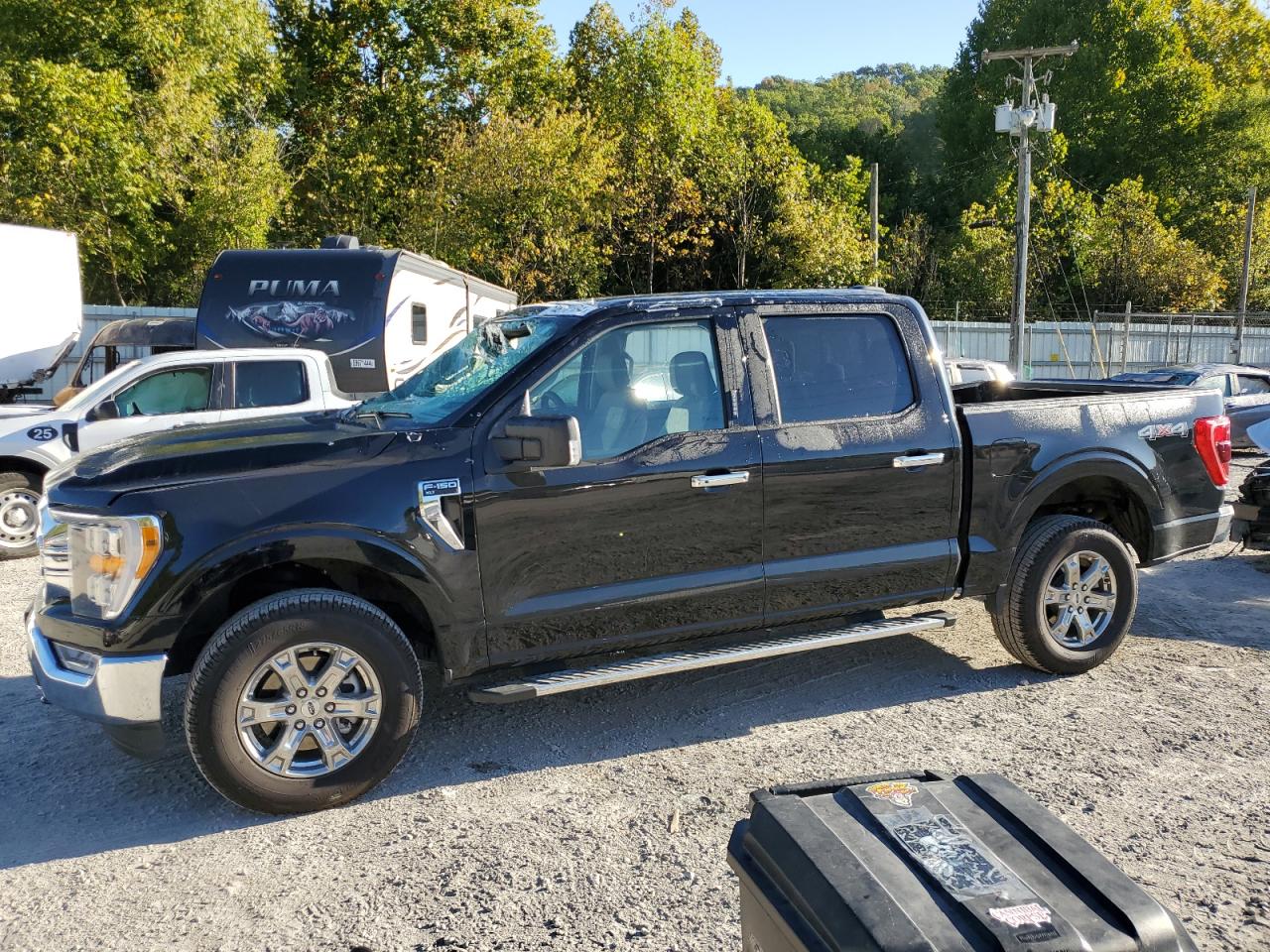 2023 Ford F-150 - Image 1