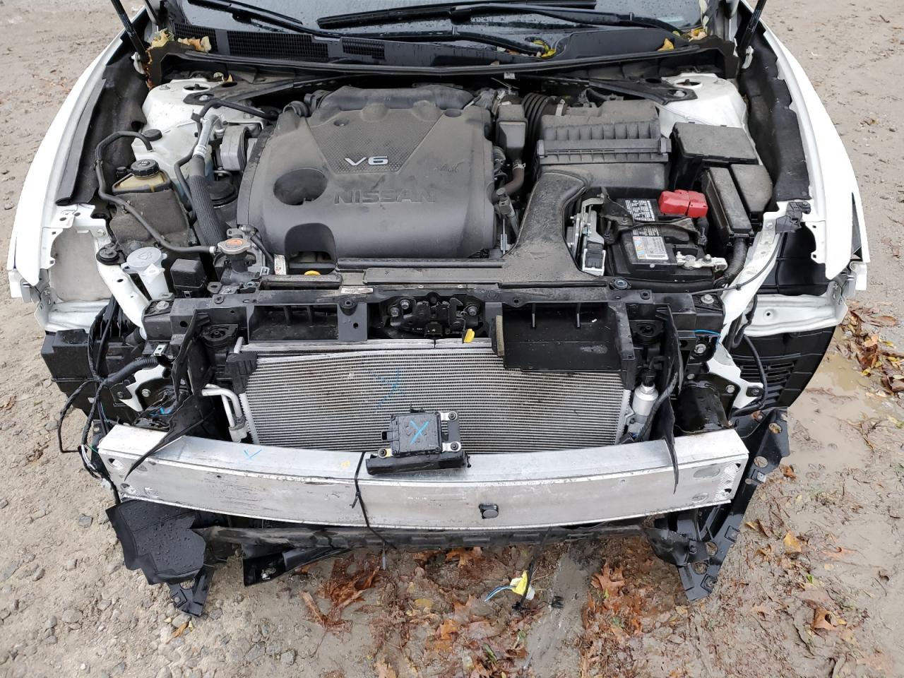 1N4AA6AV8KC373583 2019 Nissan Maxima S