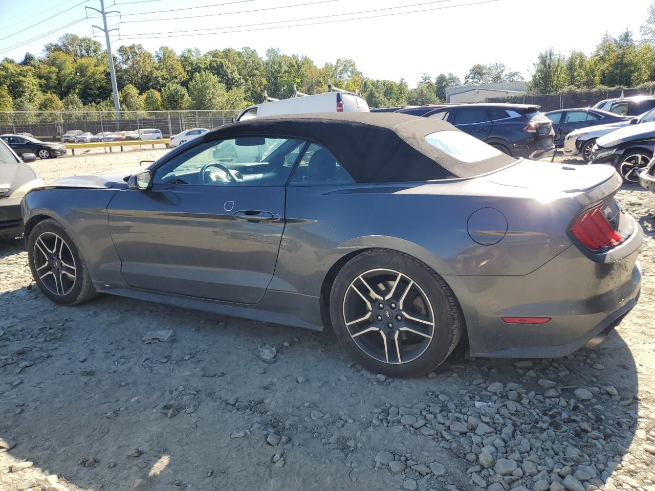 1FATP8UH4K5133265 2019 Ford Mustang