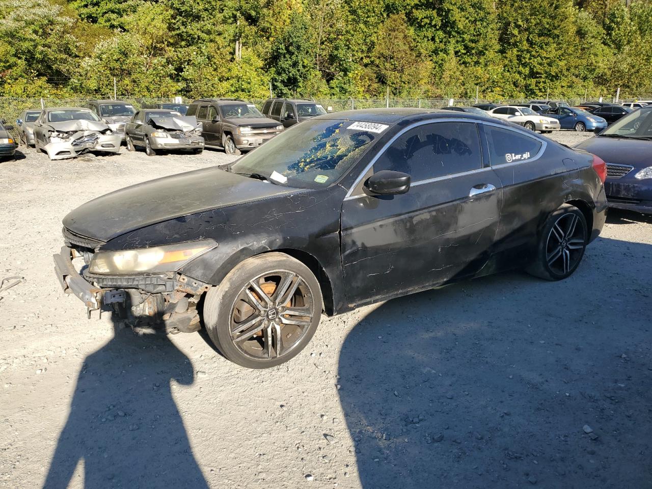 1HGCS2B85BA005022 2011 Honda Accord Exl