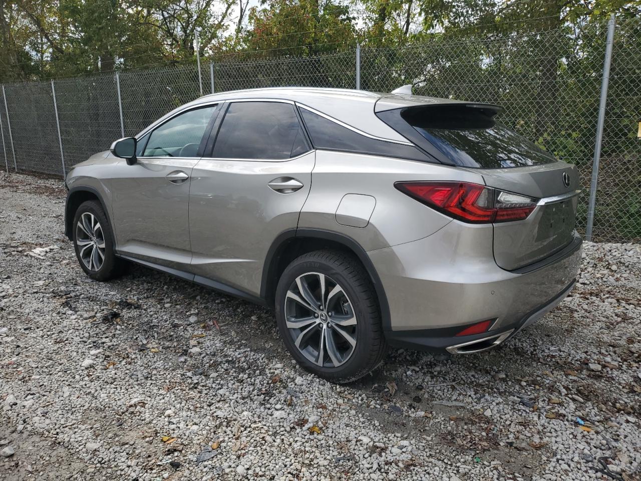 2021 Lexus RX - Image 2