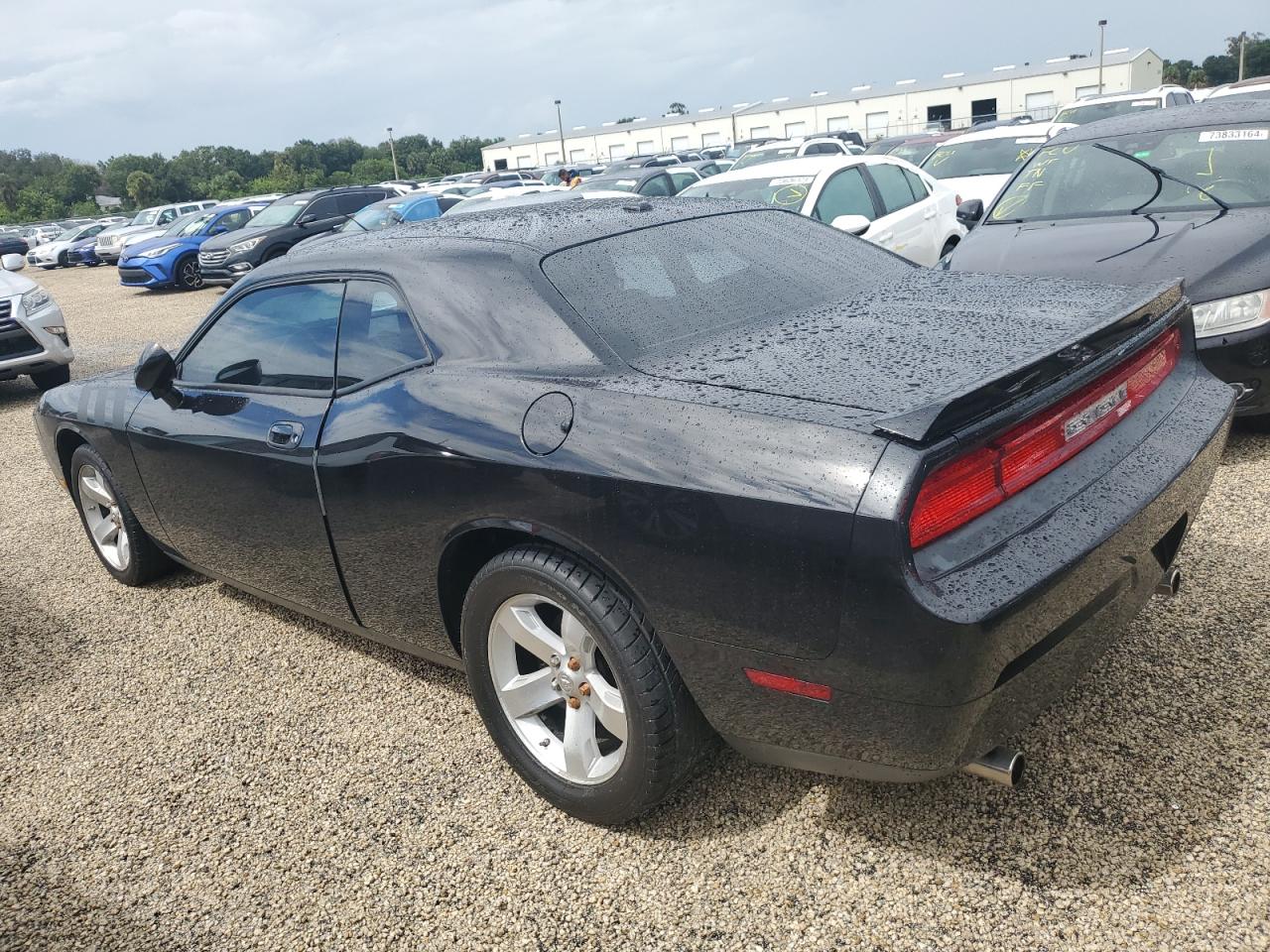 2009 Dodge Challenger - Image 2