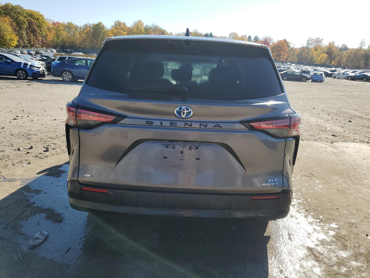 2021 Toyota Sienna Xle VIN: 5TDYSKFC9MS013245 Lot: 76945514