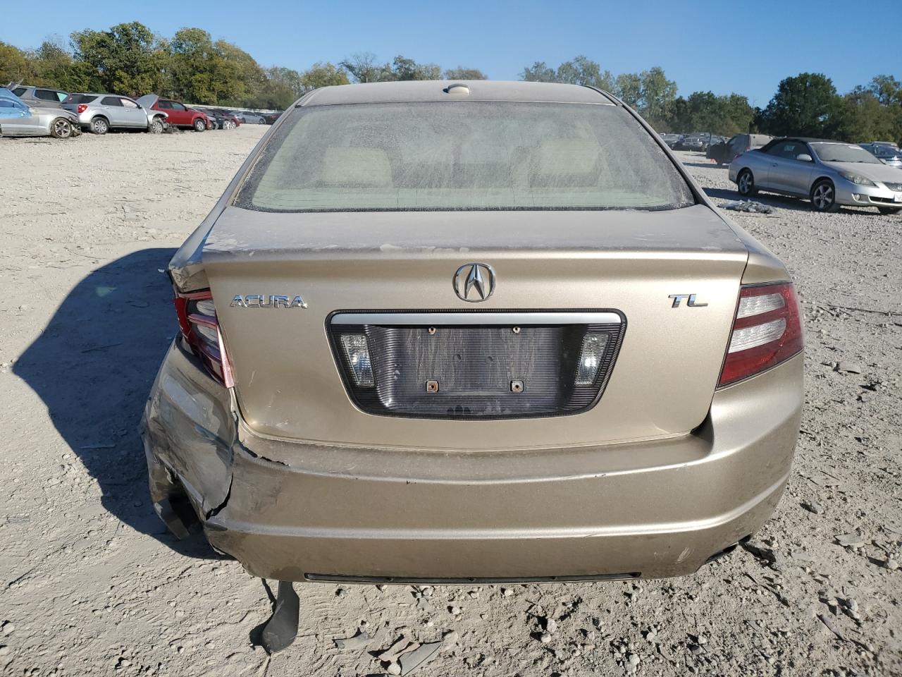 2007 Acura Tl VIN: 19UUA66217A019821 Lot: 75545244