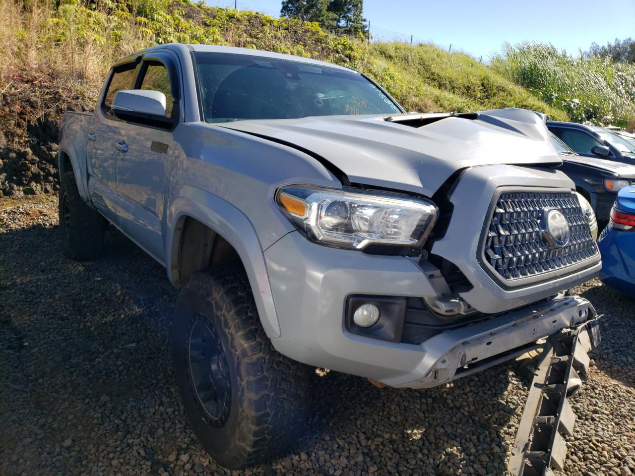 2019 Toyota Tacoma Double Cab VIN: 3TMCZ5AN6KM196309 Lot: 74138914