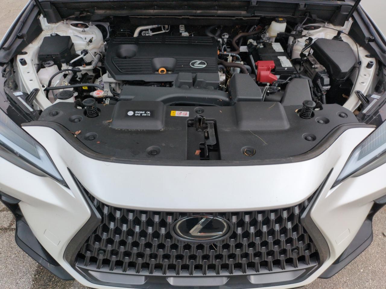 2024 Lexus Nx 250 Premium VIN: 2T2GDCAZ7RC007723 Lot: 75370234