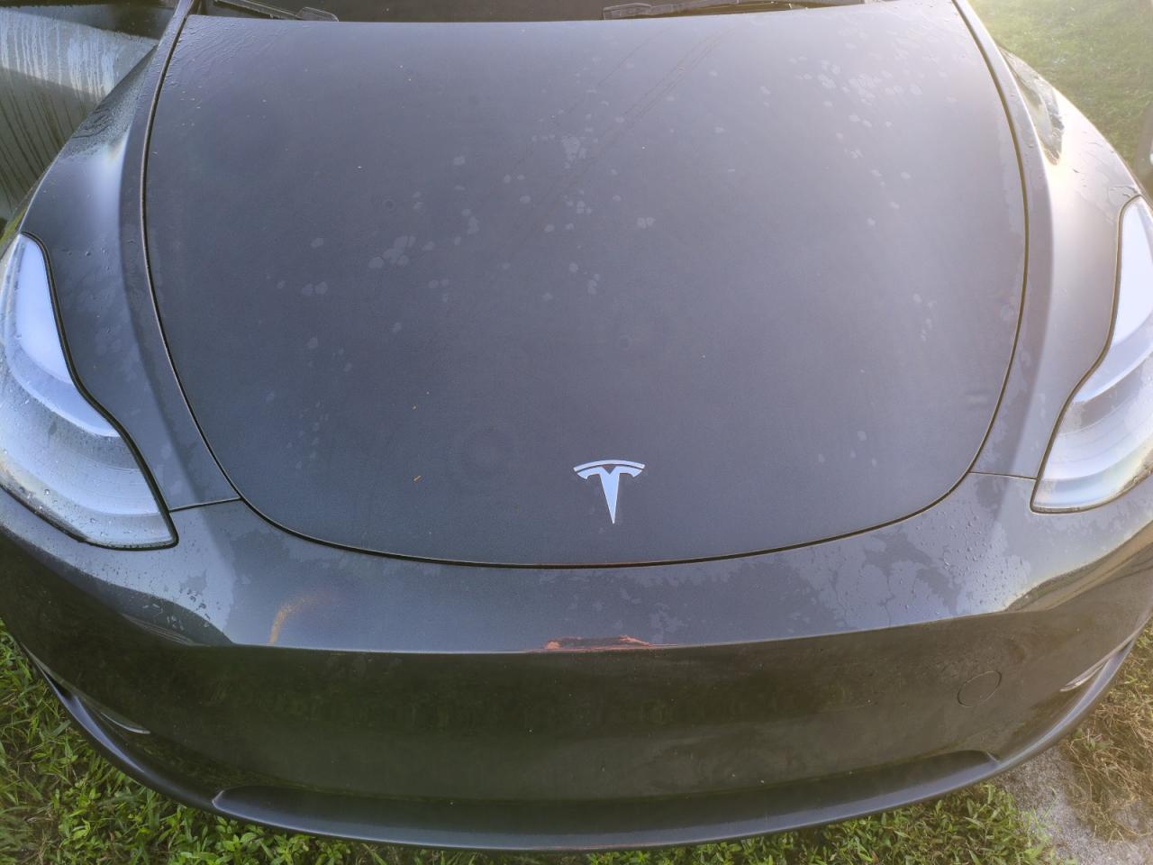 7SAYGDEE3RA252026 2024 Tesla Model Y