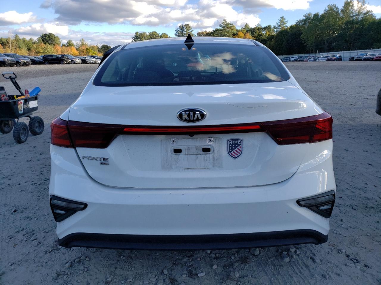 2019 Kia Forte Fe VIN: 3KPF24AD9KE097397 Lot: 75593784