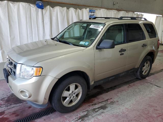  FORD ESCAPE 2012 Beżowy