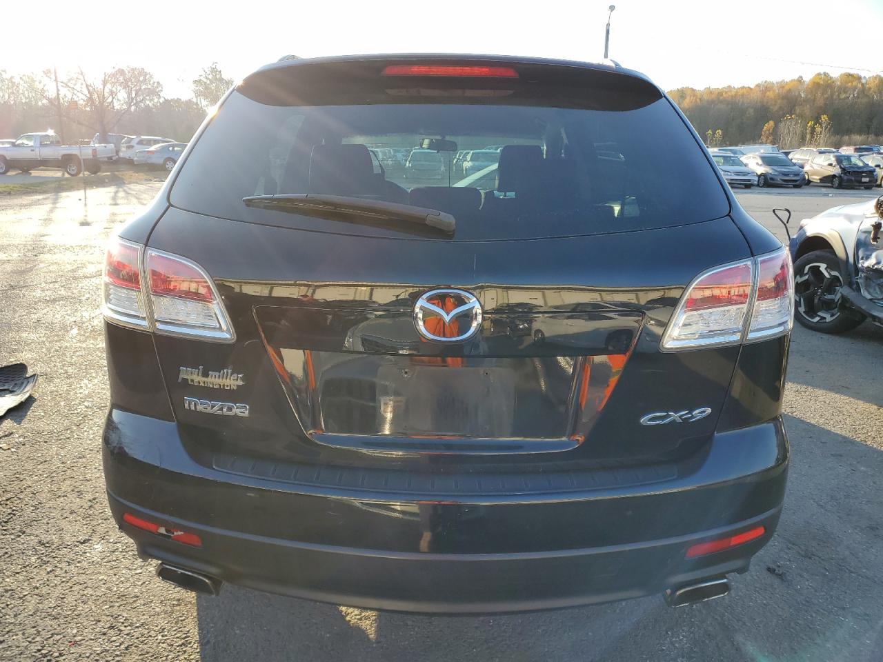 2009 Mazda Cx-9 VIN: JM3TB28A290173698 Lot: 78414134