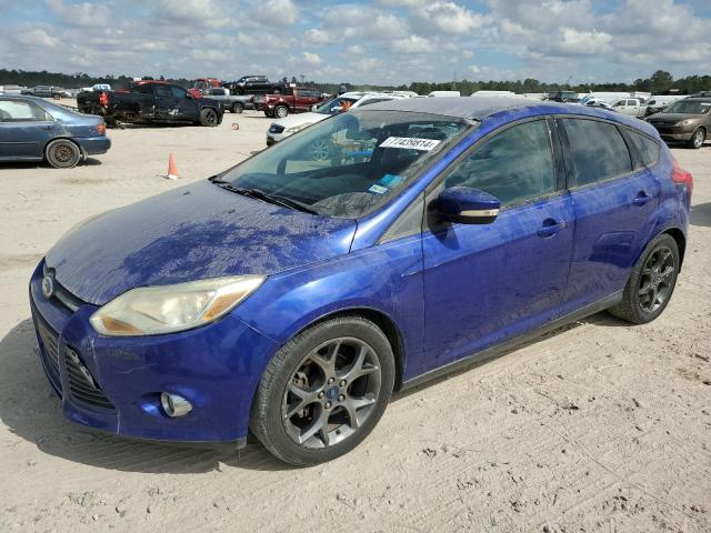 Hatchbacks FORD FOCUS 2013 Blue