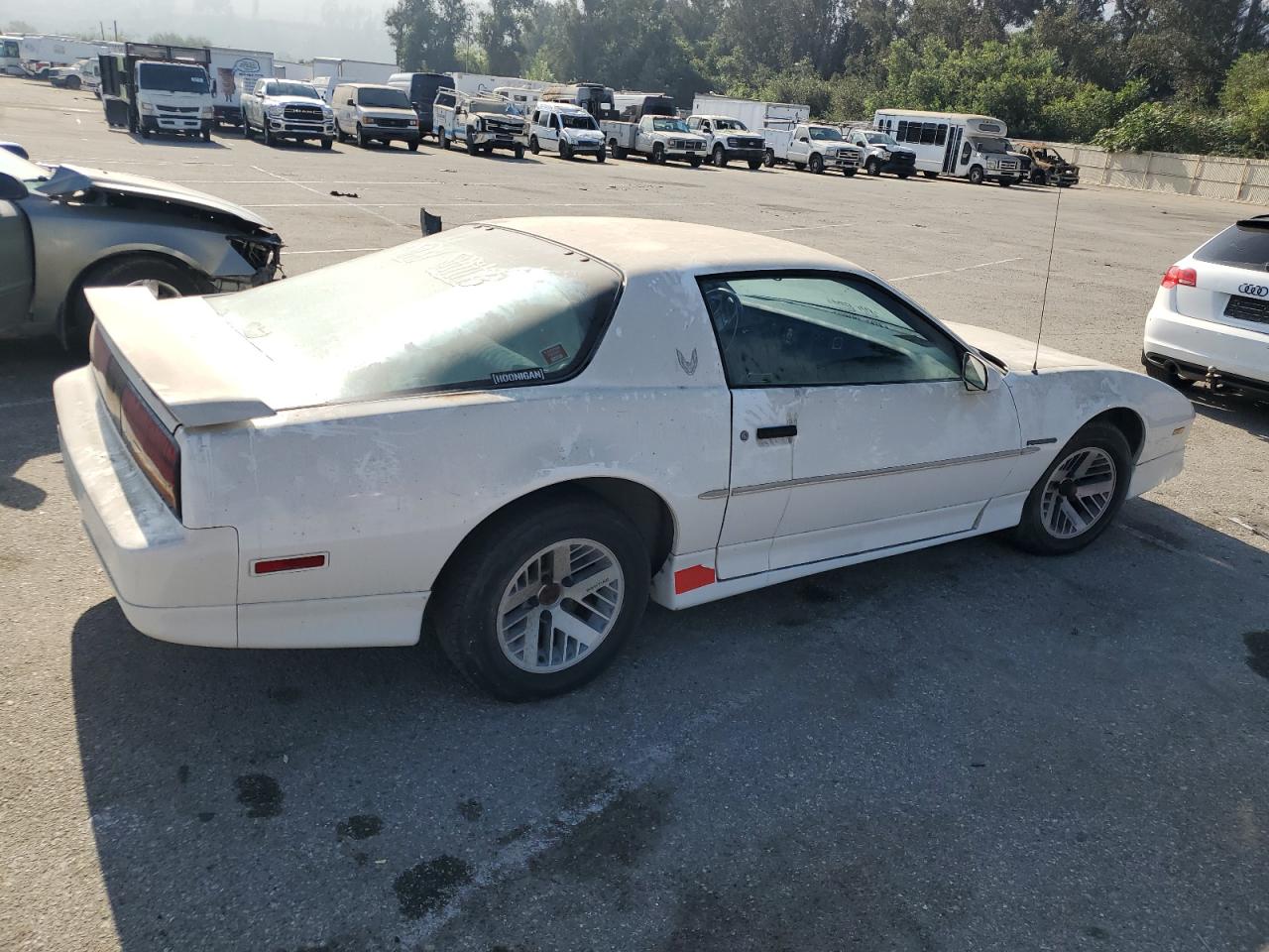 1989 Pontiac Firebird VIN: 1G2FS21S5KL248380 Lot: 74590284