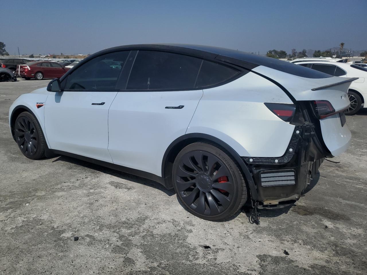 2023 Tesla Model Y VIN: 7SAYGDEF1PF772217 Lot: 74799184