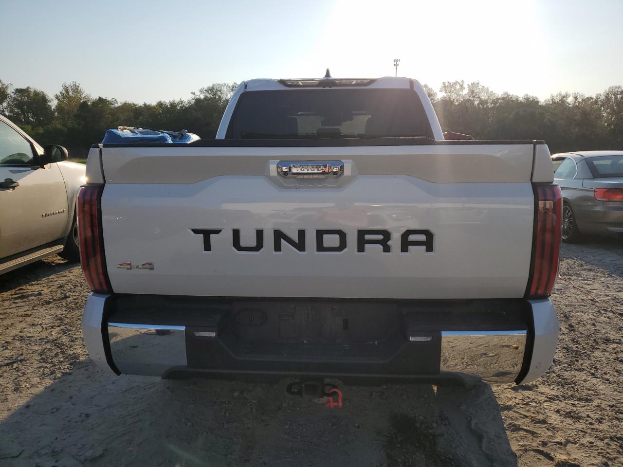 2022 Toyota Tundra Crewmax Platinum VIN: 5TFMC5DB4NX006593 Lot: 74613414