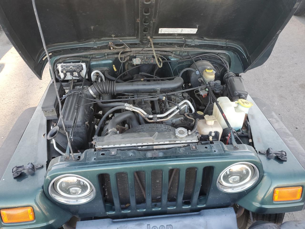 2000 Jeep Wrangler / Tj Sahara VIN: 1J4FA59S9YP800110 Lot: 77593844