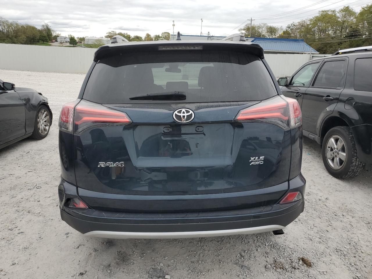 2017 Toyota Rav4 Xle VIN: 2T3RFREV7HW564203 Lot: 75545474