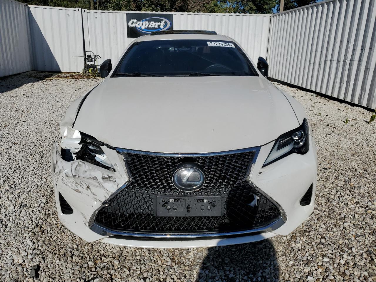 2019 Lexus Rc 300 VIN: JTHHA5BC7K5009769 Lot: 71228364