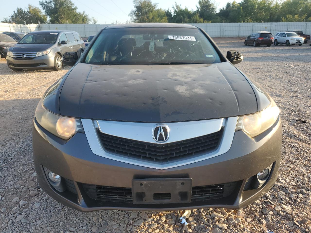 2010 Acura Tsx VIN: JH4CU2F6XAC002345 Lot: 75067934