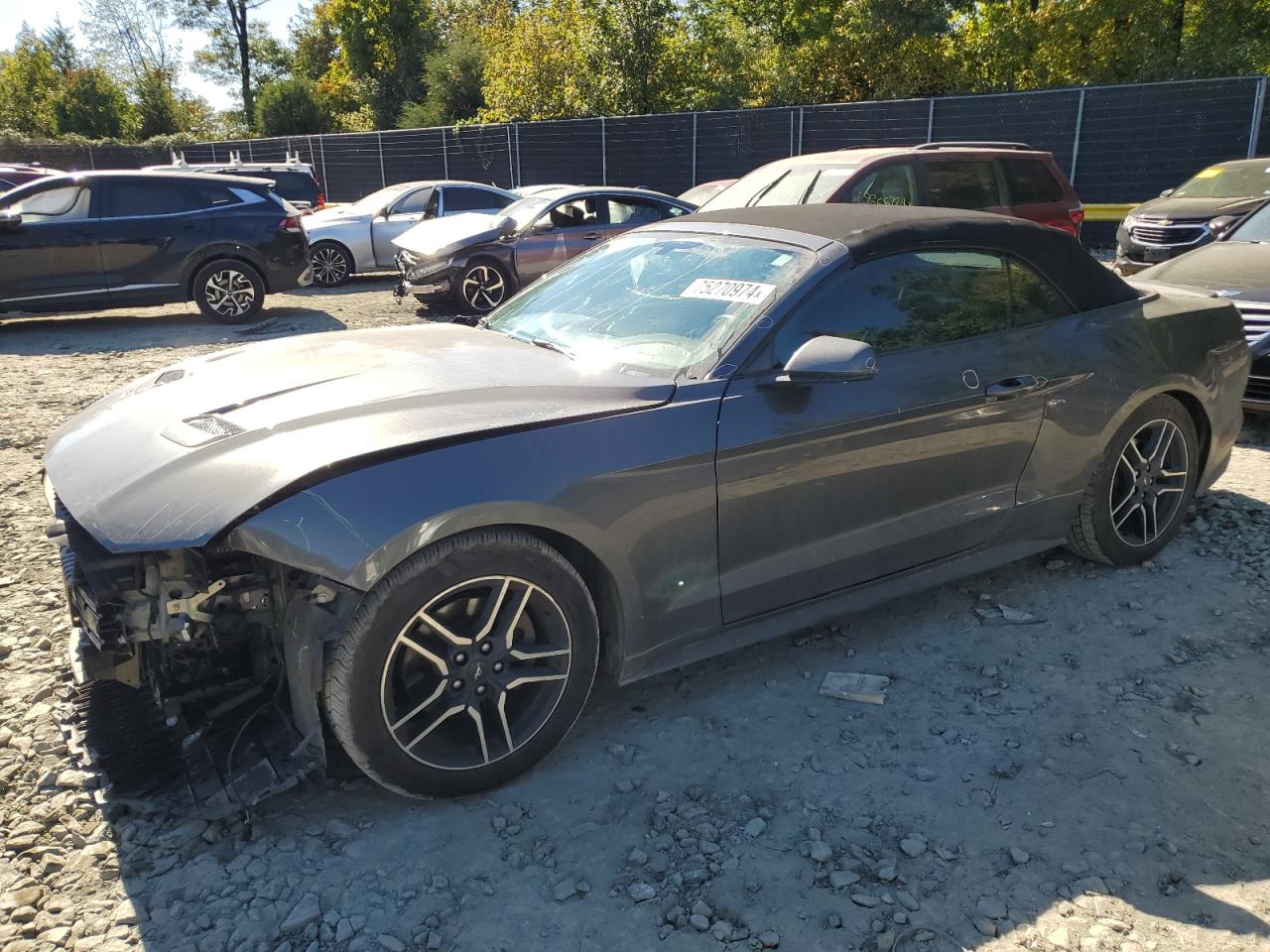 1FATP8UH4K5133265 2019 Ford Mustang