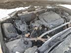 2003 Acura 3.2Tl  en Venta en Memphis, TN - Burn