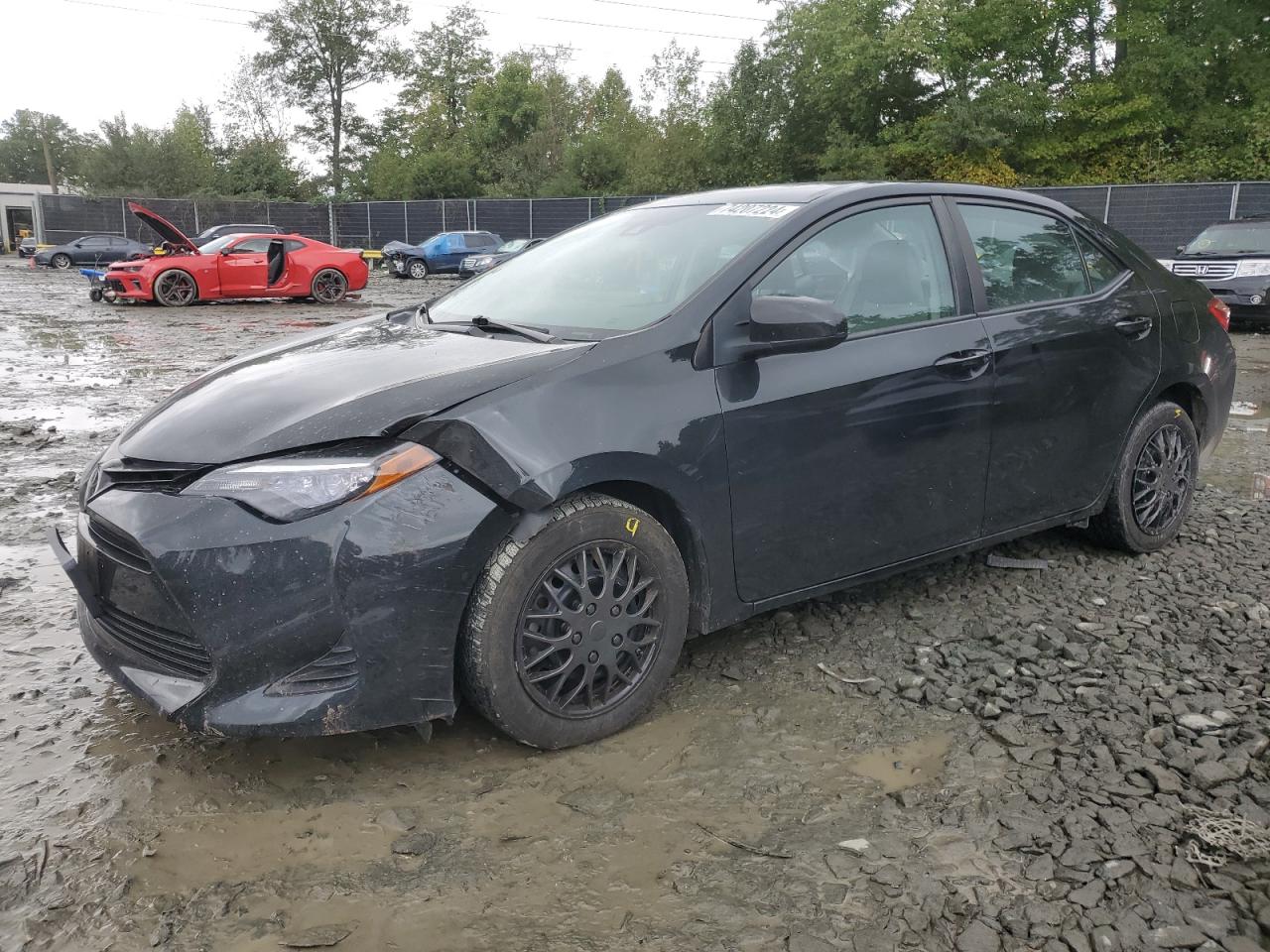 2019 Toyota Corolla - Image 1