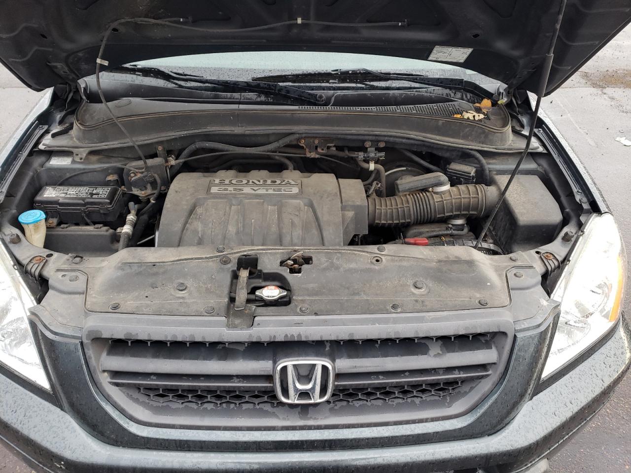 2005 Honda Pilot Exl VIN: 5FNYF18625B007802 Lot: 77281824