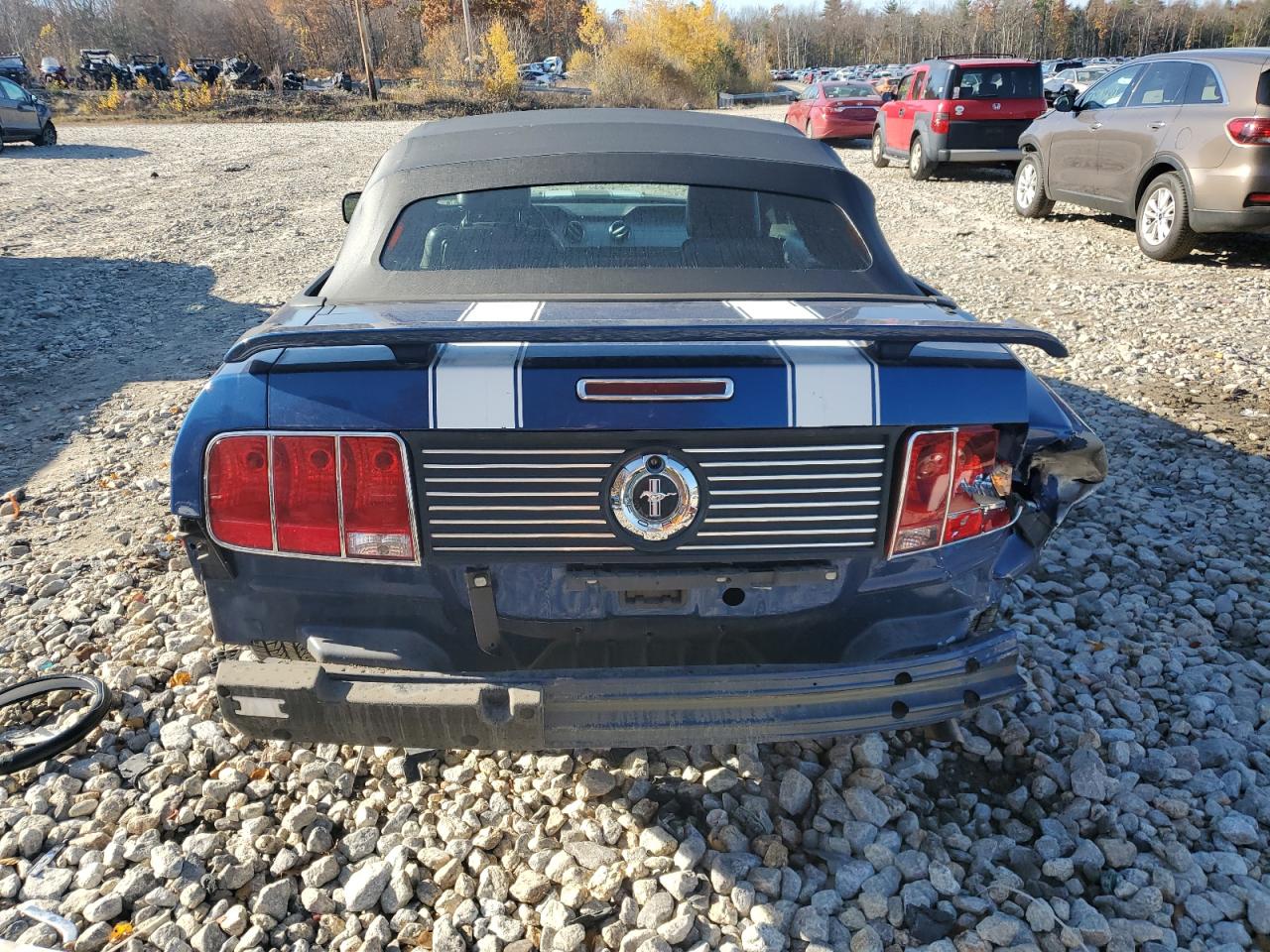 2006 Ford Mustang VIN: 1ZVHT84N165148262 Lot: 77165614