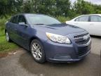 2013 Chevrolet Malibu 1Lt en Venta en Riverview, FL - Water/Flood